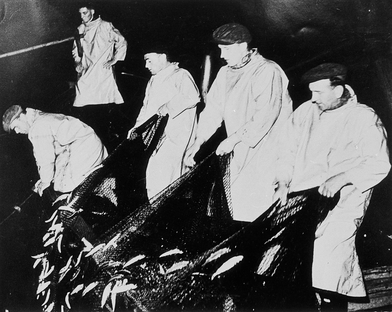 Crew hauling a ringnet, 1961