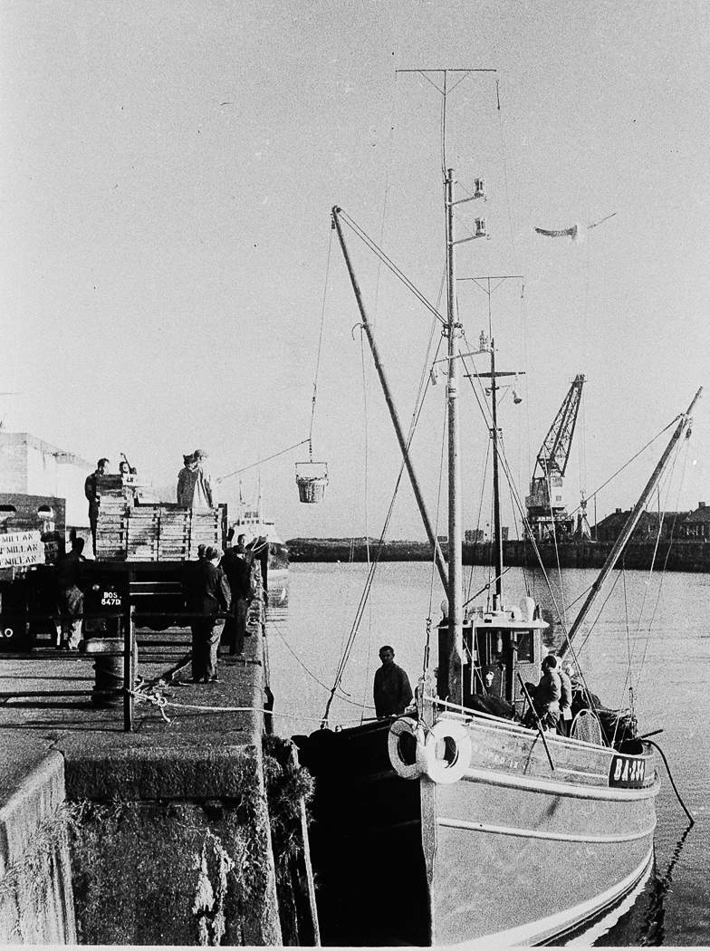 Landing catch from Aliped IX BA234, Ayr