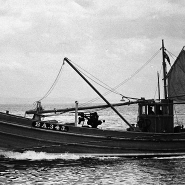 Elizamor BA343, at sea, 1948. She was built by J. N. Miller boatbuilders, St Monans, as a dual purpose ringnetter and seiner. She was 54ft long and weighed 27 tons.
