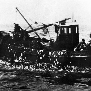 Crew hauling net onboard