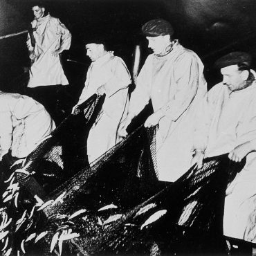 Crew hauling a ringnet, 1961