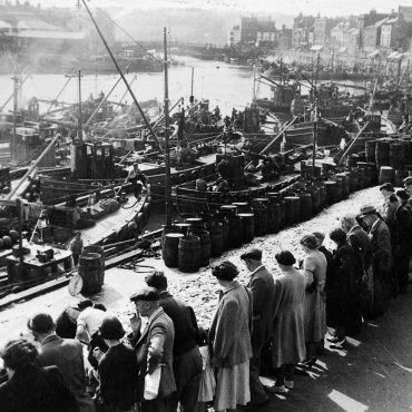 Scottish ringnetters landing at Whitby, 1951